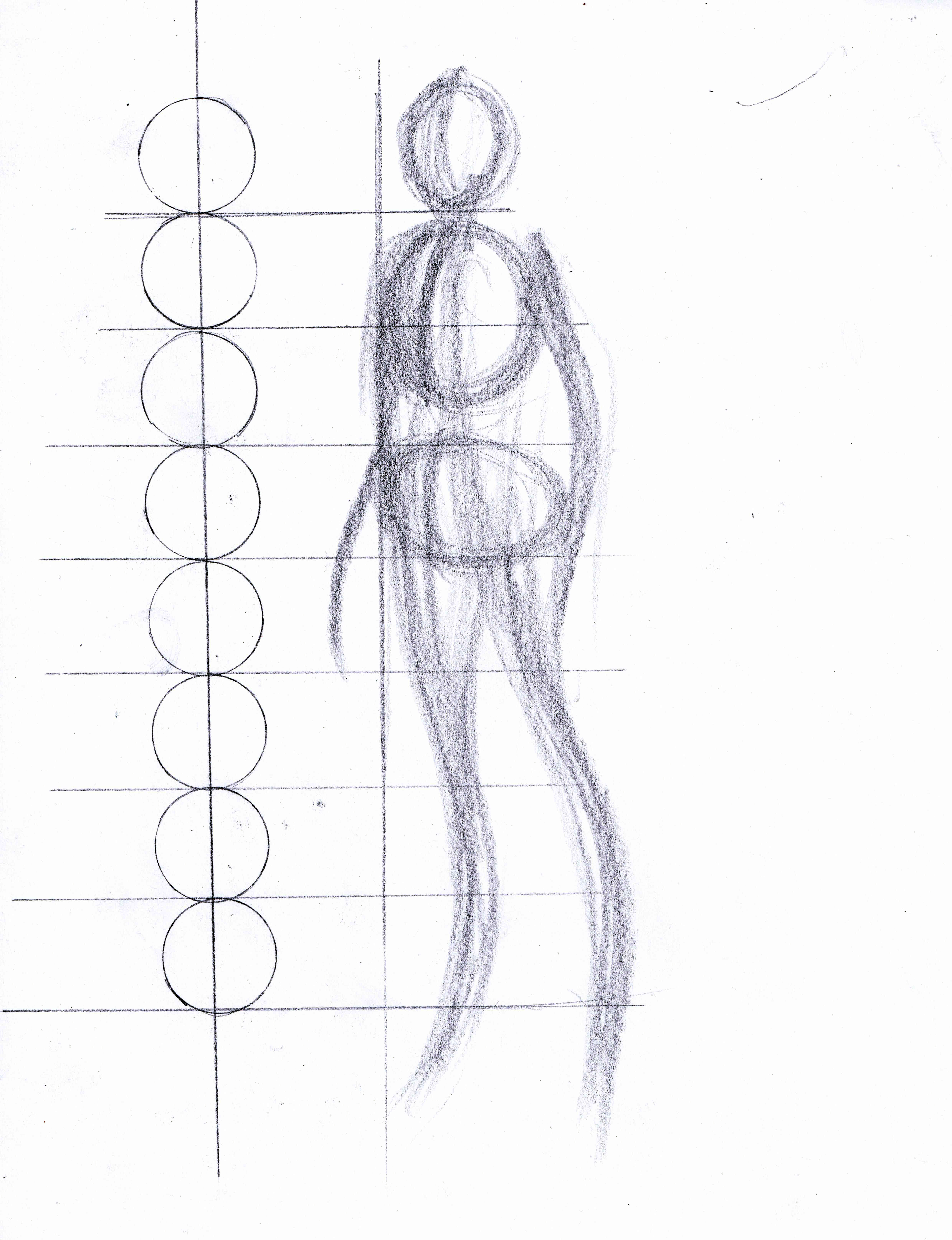 drawing female figure proportions